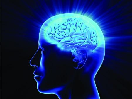 Artigo - Anatomia judaica: A cabeça e o cérebro