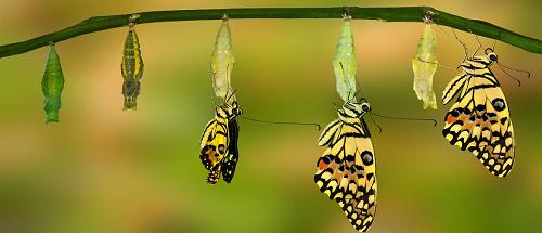 Artigo - Vitalidade e Existência